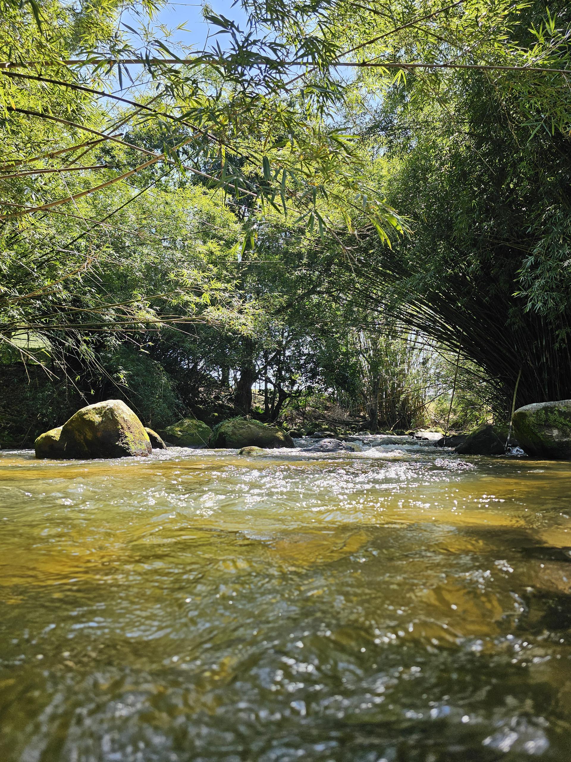 Foto 18 do Hotel Pousada Bambuzal em Sana, Macaé - RJ