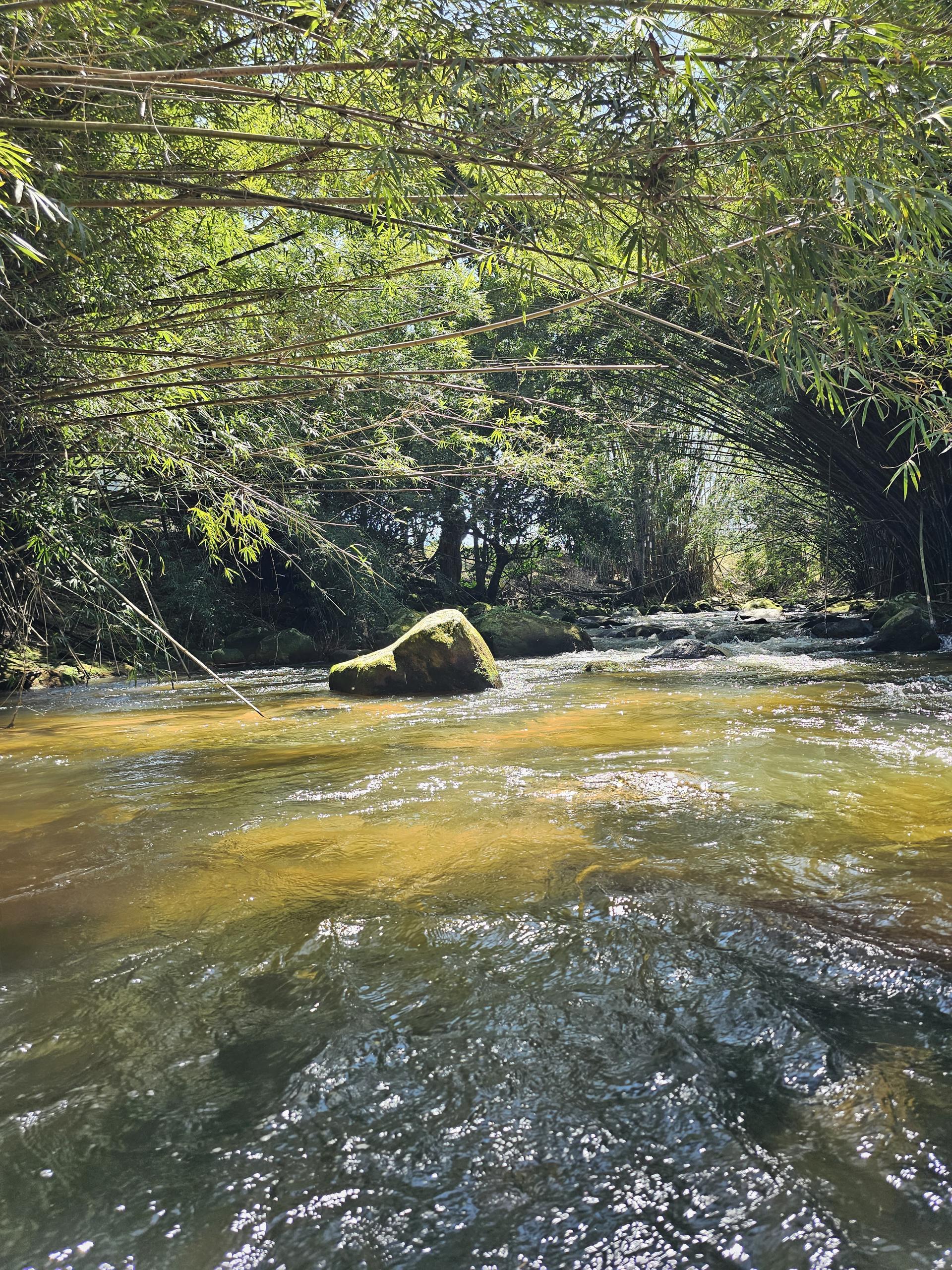 Foto 19 do Hotel Pousada Bambuzal em Sana, Macaé - RJ