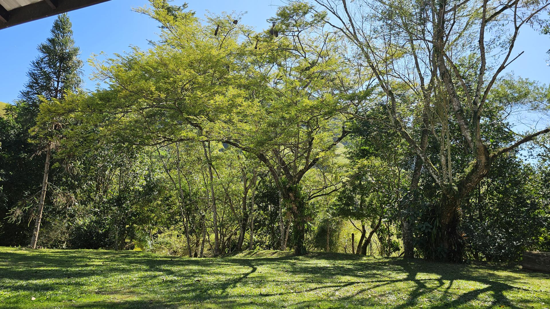 Foto 56 do Hotel Pousada Bambuzal em Sana, Macaé - RJ