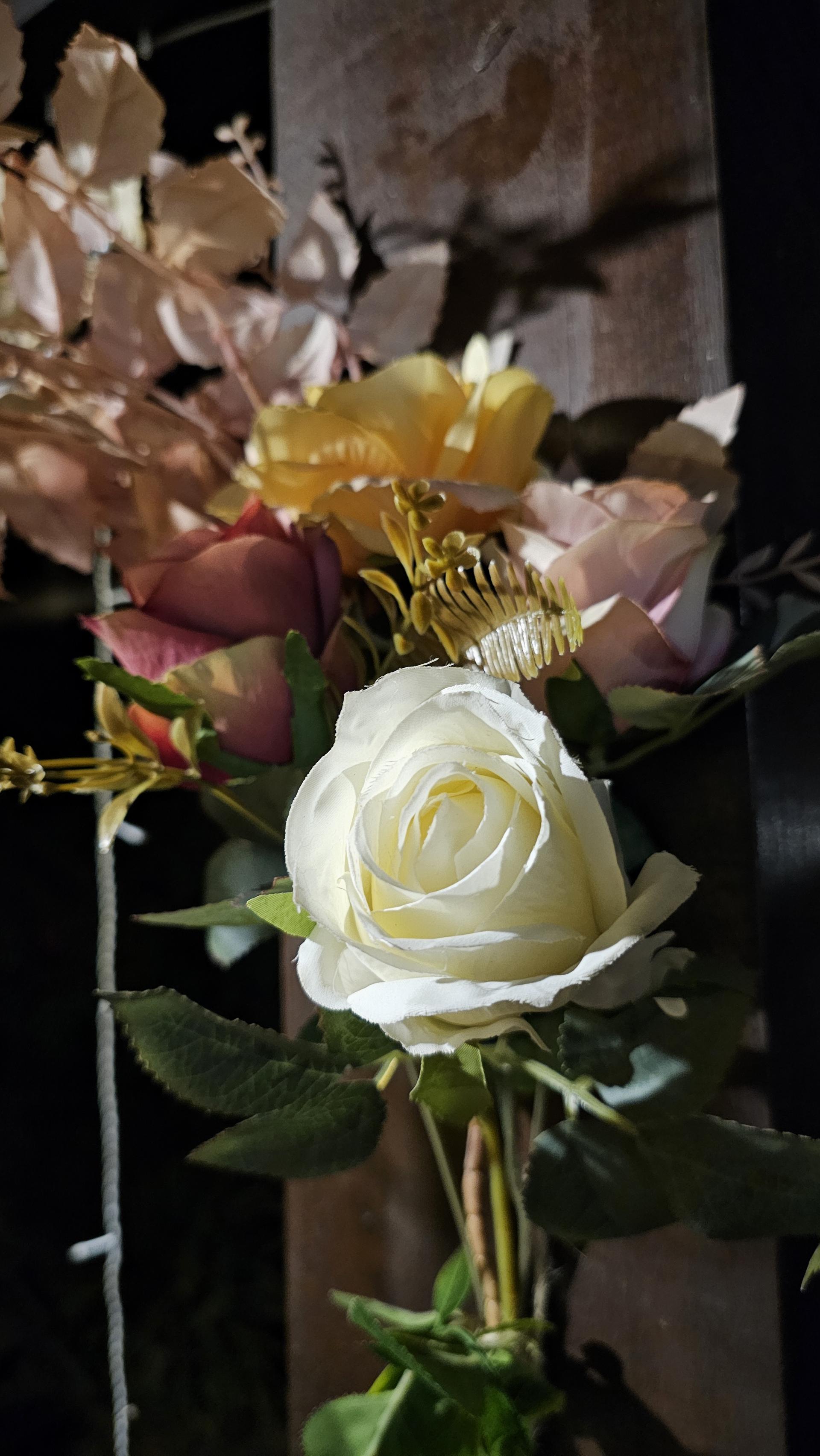 Foto 70 do Hotel Pousada Bambuzal em Sana, Macaé - RJ