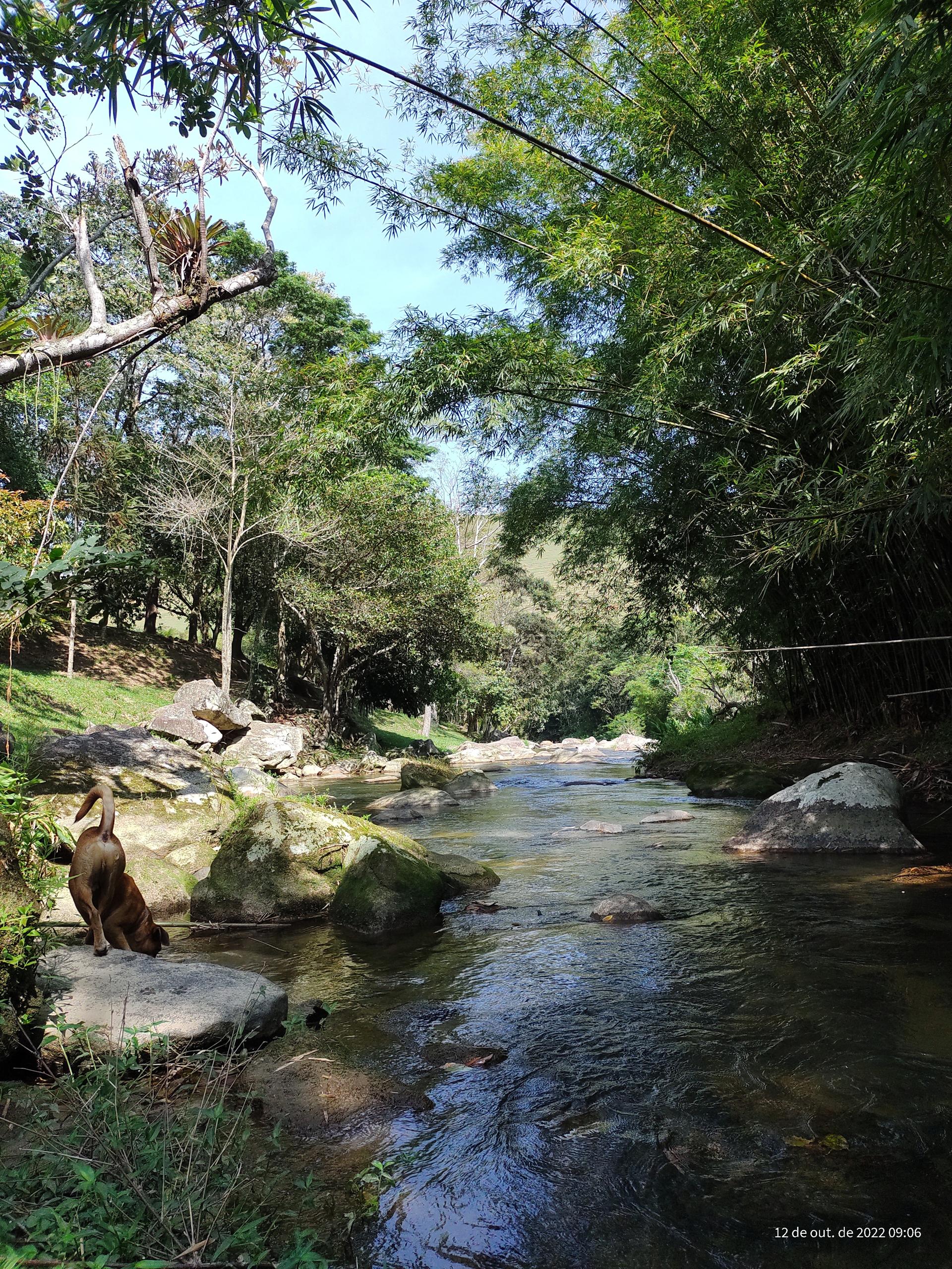 Foto 203 do Hotel Pousada Bambuzal em Sana, Macaé - RJ