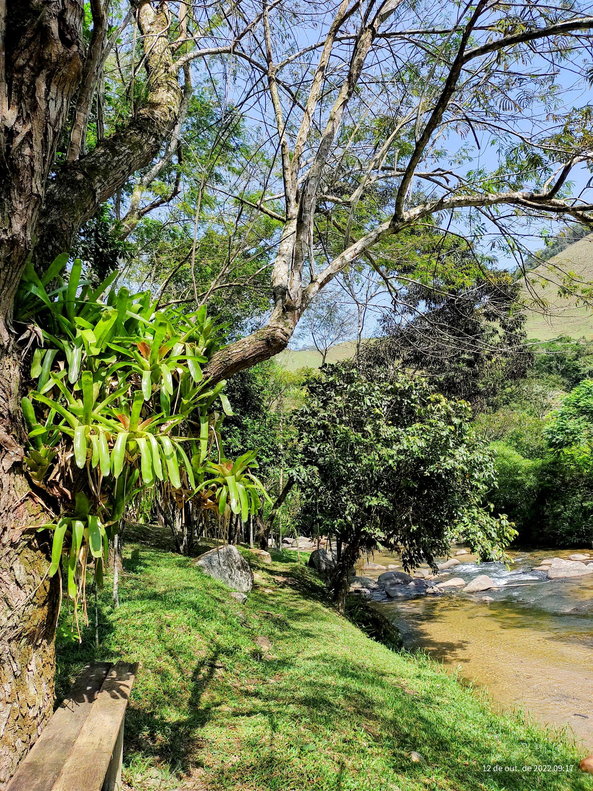 Foto 204 do Hotel Pousada Bambuzal em Sana, Macaé - RJ