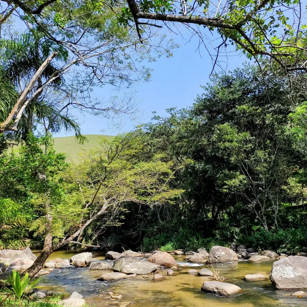 Foto 211 do Hotel Pousada Bambuzal em Sana, Macaé - RJ